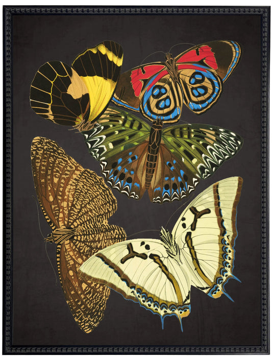 Vintage bright multi butterfly print on a distressed black background in a beaded black frame sized 18x24