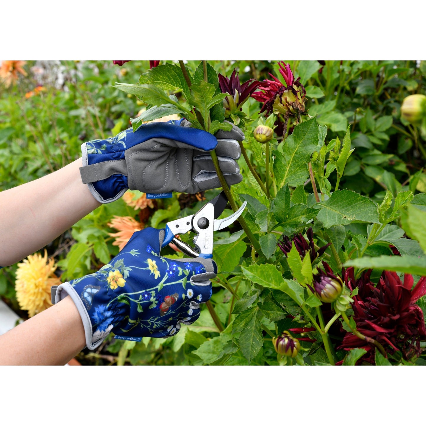 Burgon & Ball® British Meadow Pruner & Holster Set, RHS Endorsed