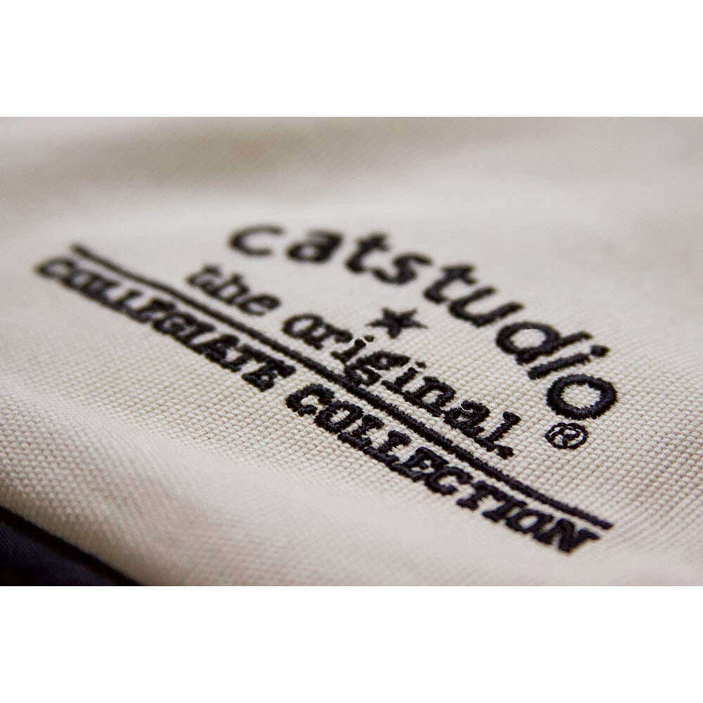 Dartmouth College Collegiate Embroidered Pillow by CatStudio