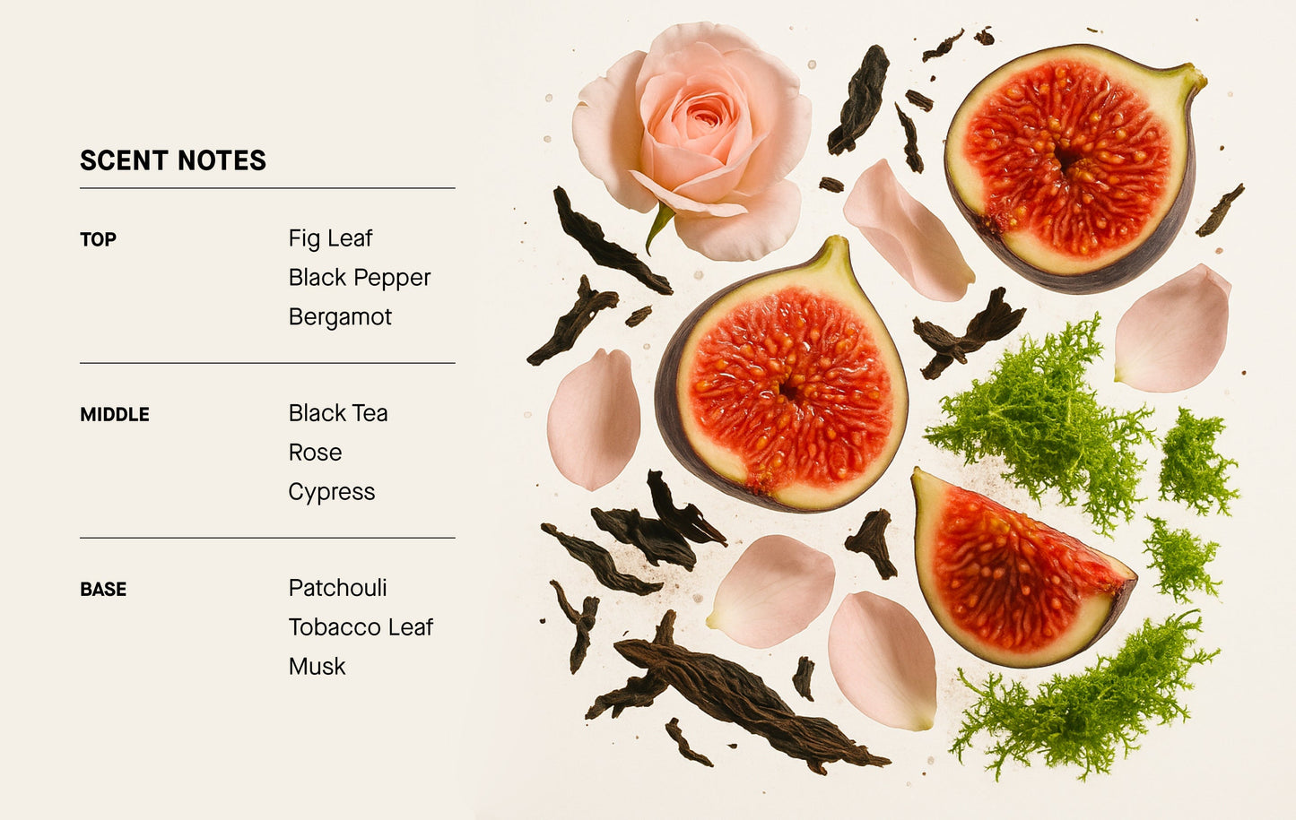 THÉ NOIR - Perfume Mist Hair & Body  - 3.4 floz