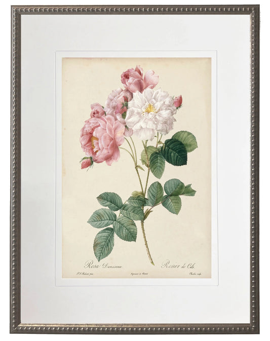 Vintage pink rose print matted in a cream mat in a beaded pewter frame sized 16x20