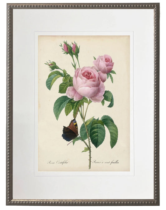 Vintage pink rose print matted in a cream mat in a beaded pewter frame sized 16x20