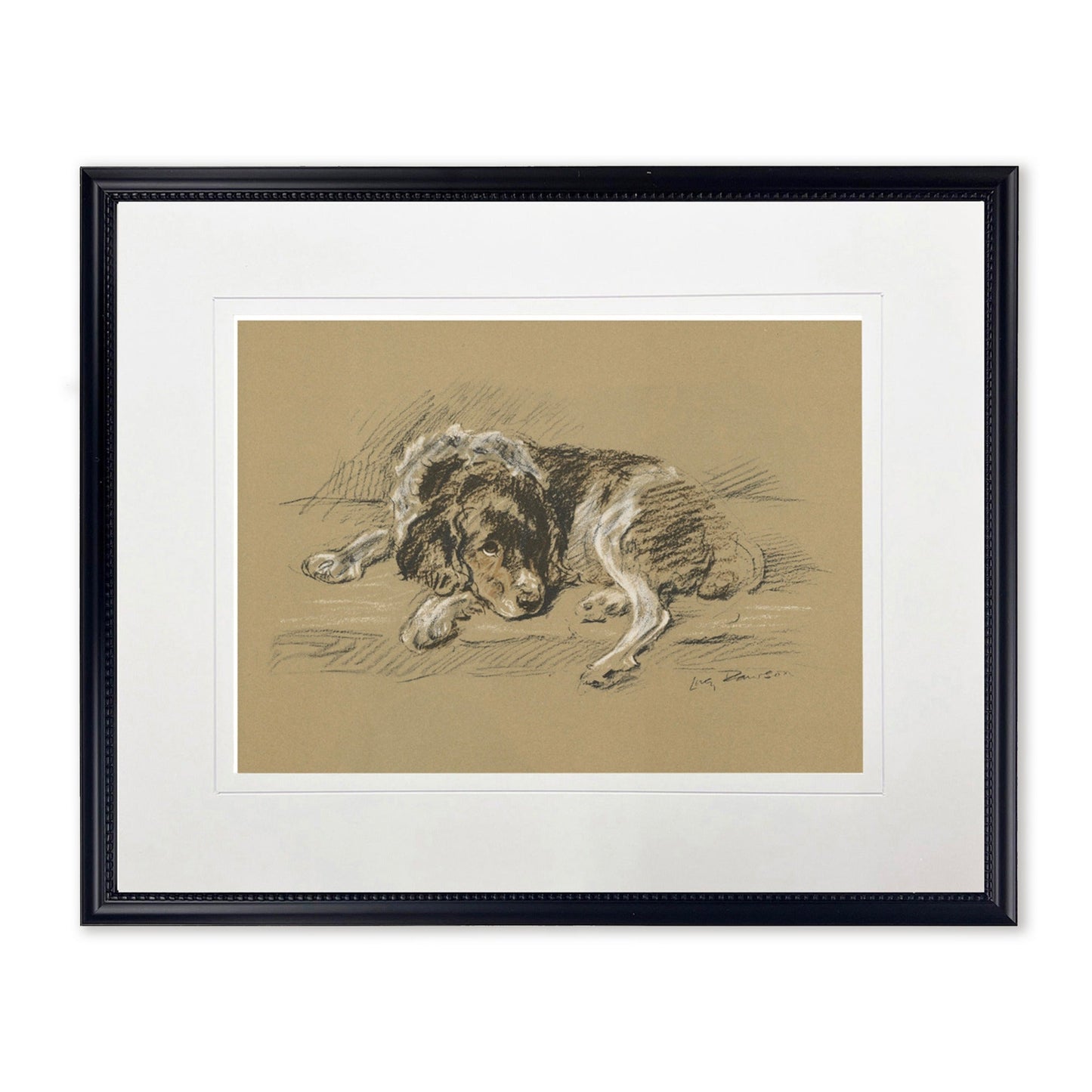 Sketched Dog Print in Black Frame