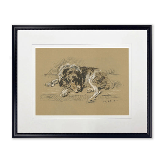 Sketched Dog Print in Black Frame