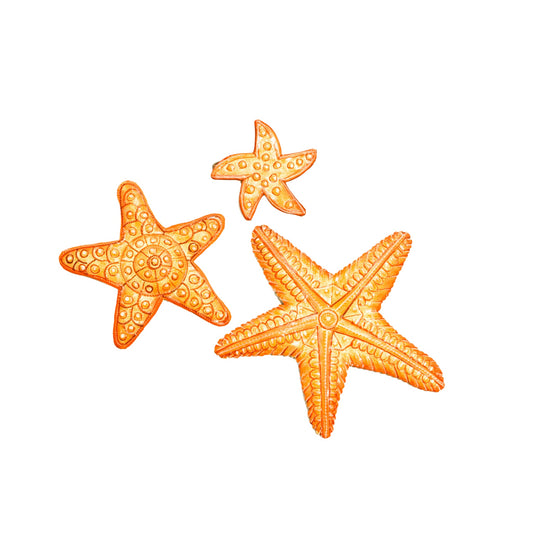 Painted Sea Stars (Set of 3)
