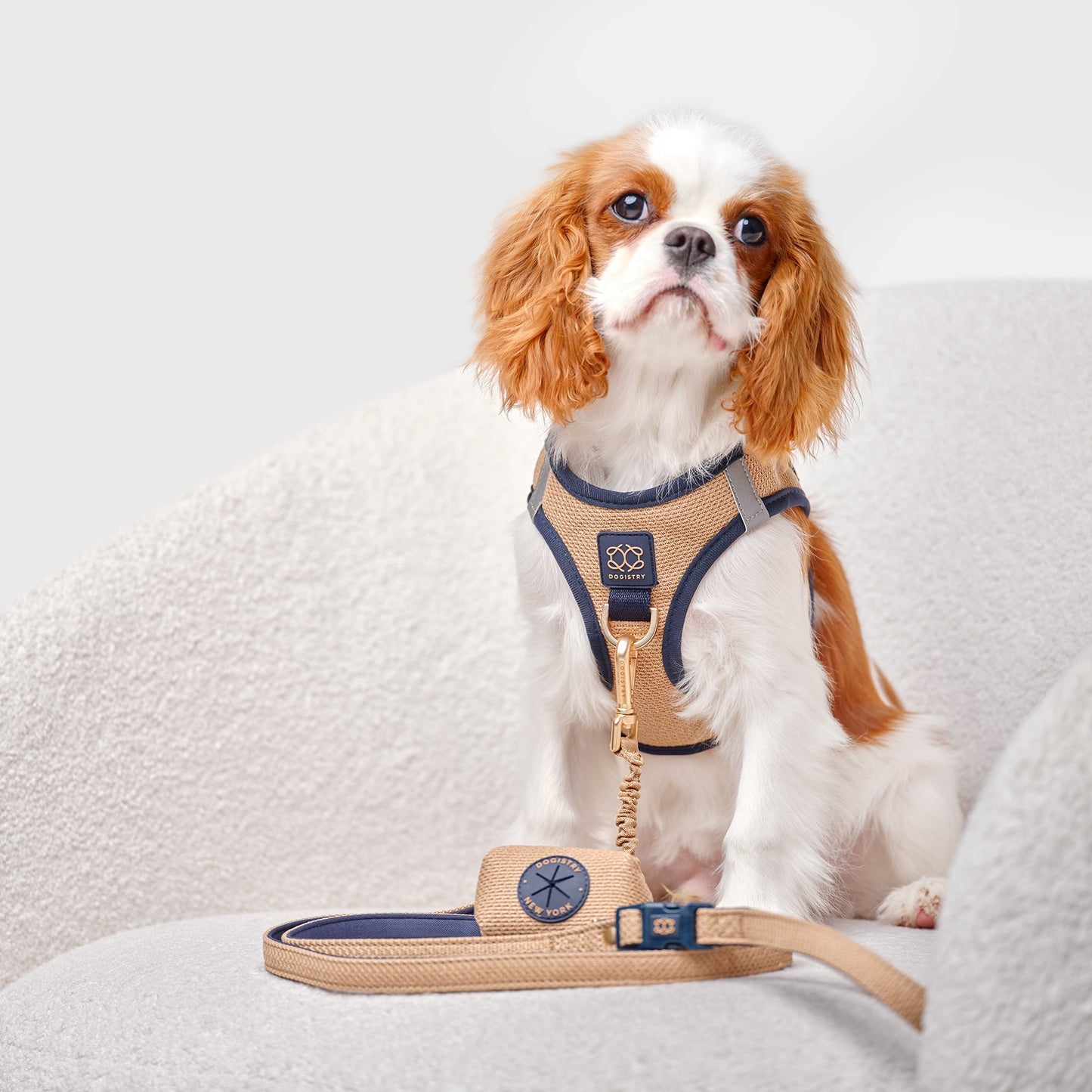 3-in-1 City Dog Leash - Hamptons
