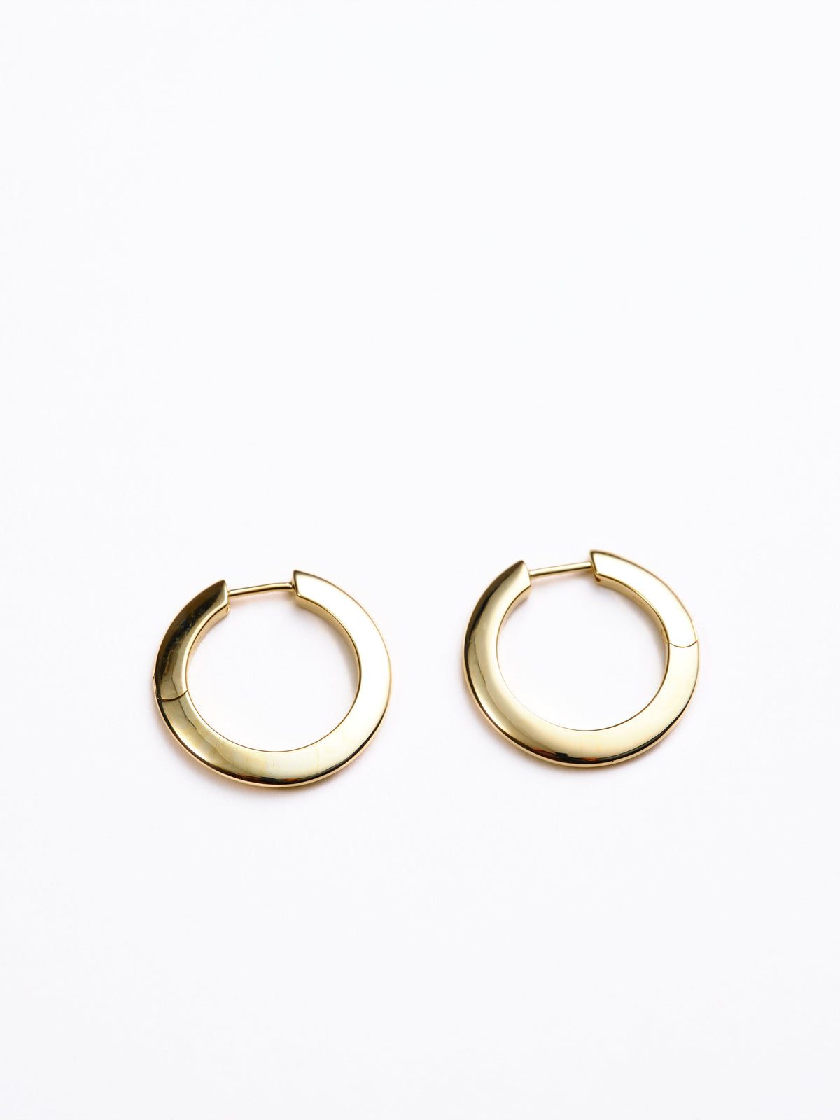 Talia Medium Hoop Earrings