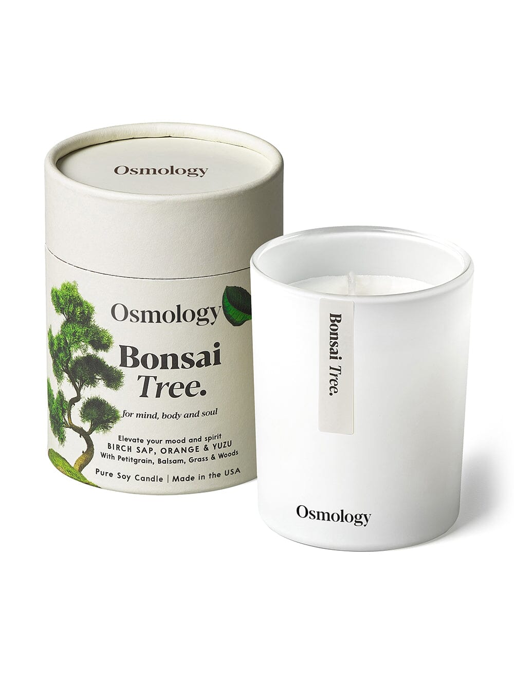 Bonsai Tree Scented Candle - Birch Sap Orange and Yuzu