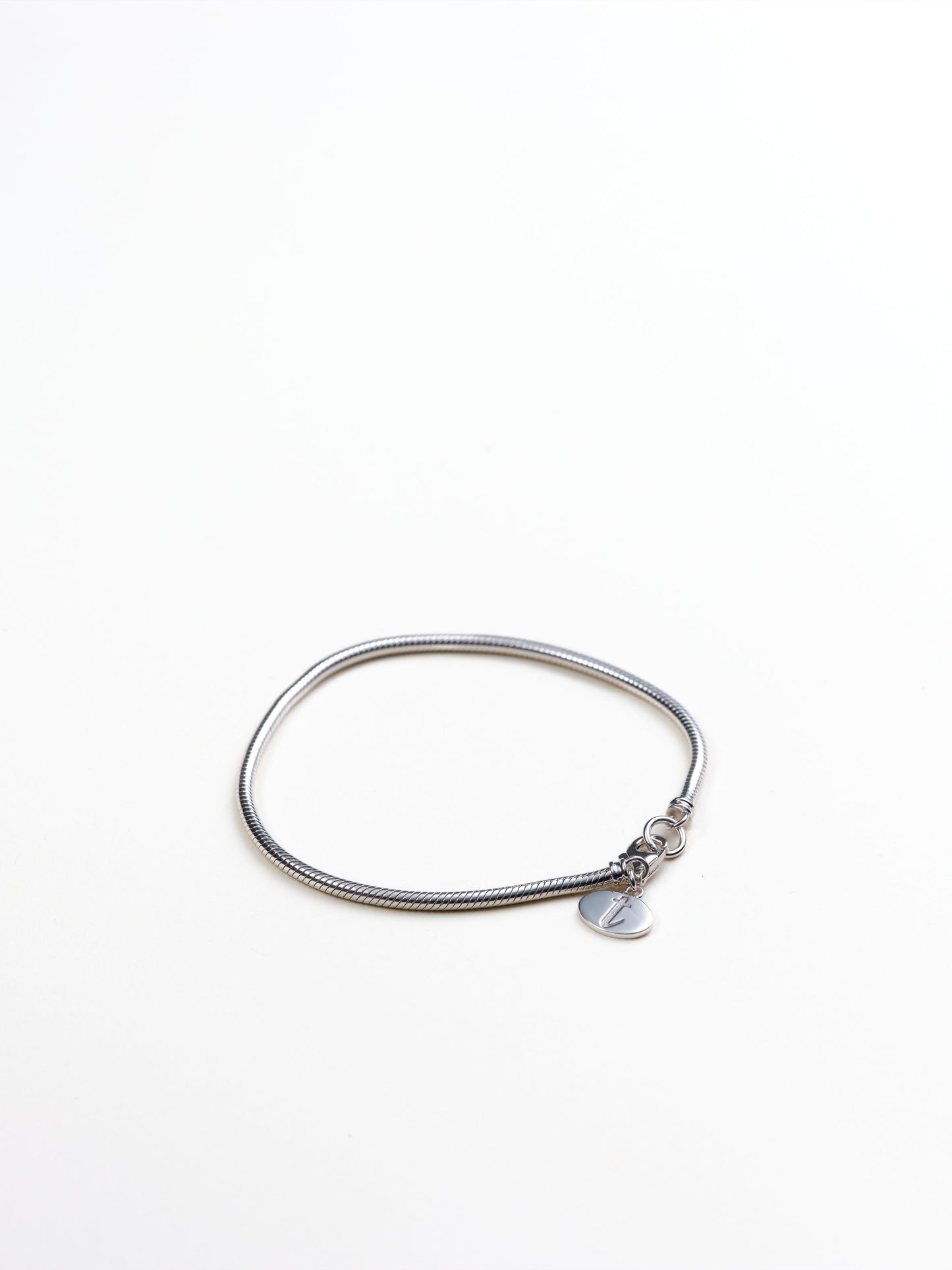 Mason Snake Chain Bracelet