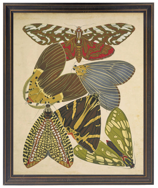 Vintage bright multi butterfly print on a distressed background in a copper and black shaped frame sized 18x24