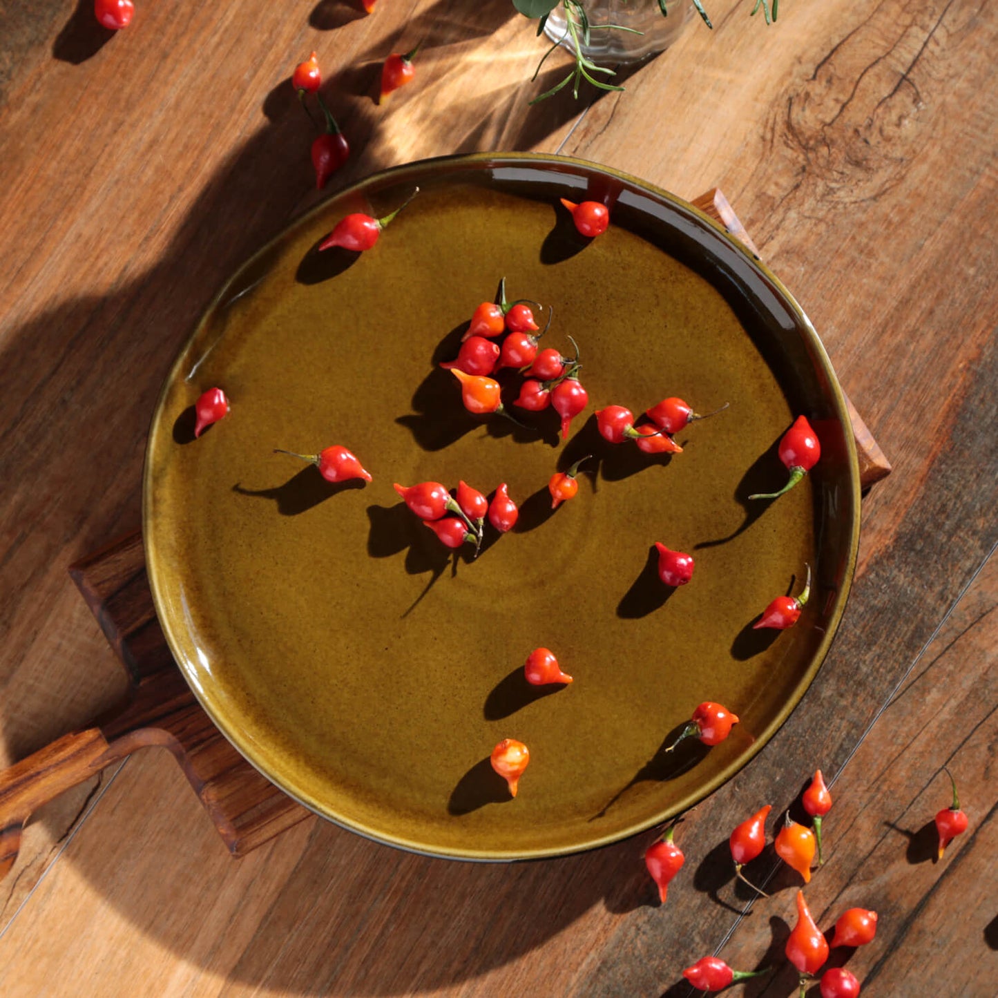 Dinner Plate Set of 6