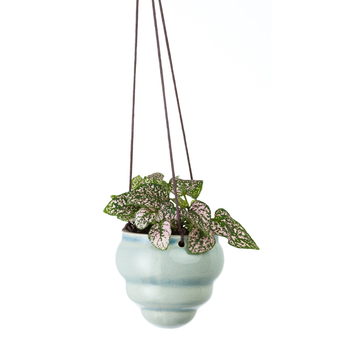 Burgon & Ball® Hanging Baby Bombini Trio Vases