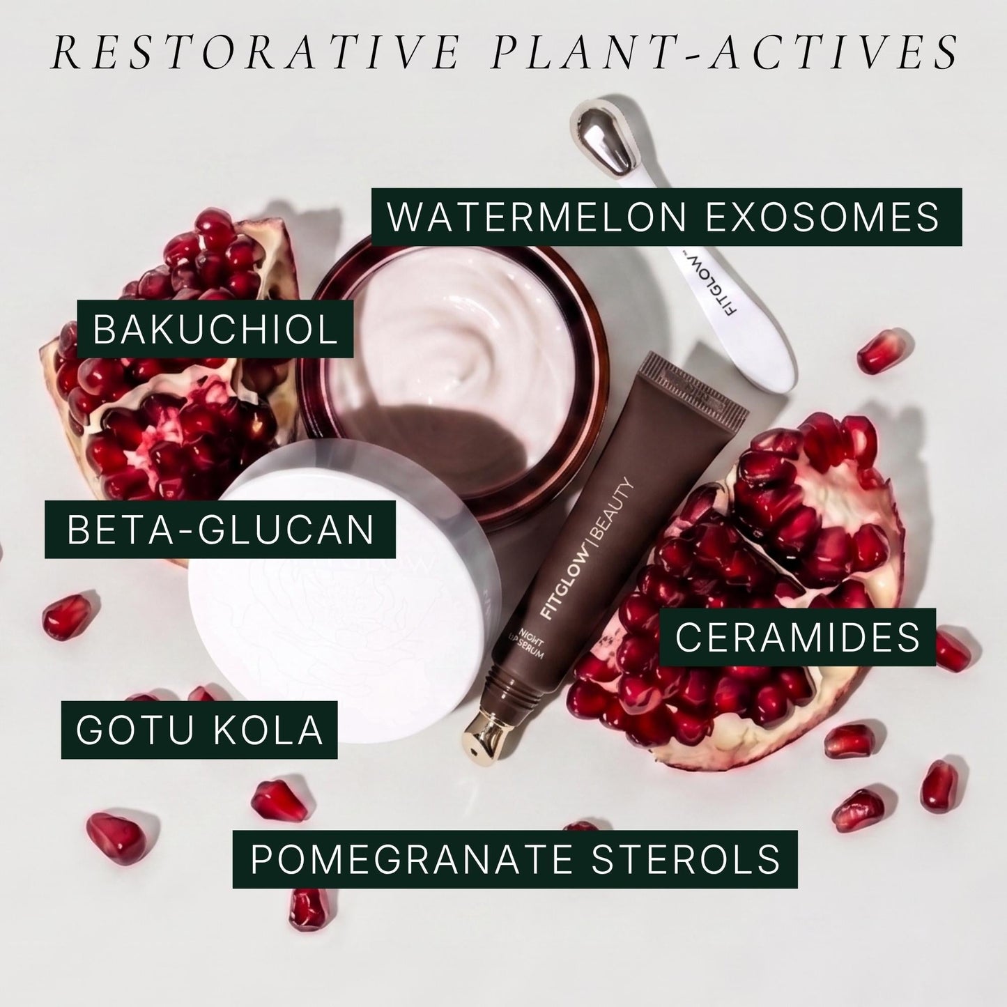 Restorative Ceramide Eye + Lip Duo