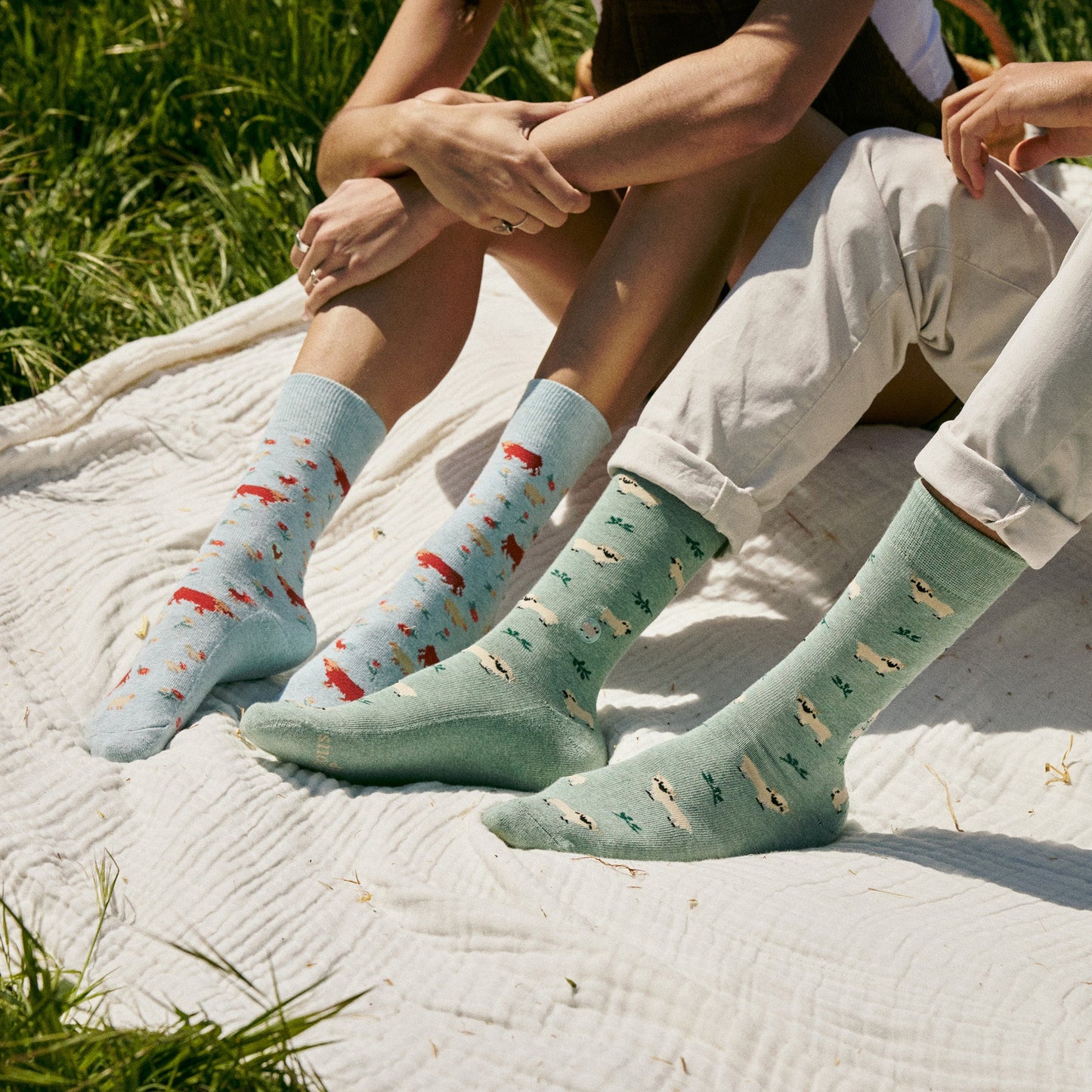 Socks that Save Sheep