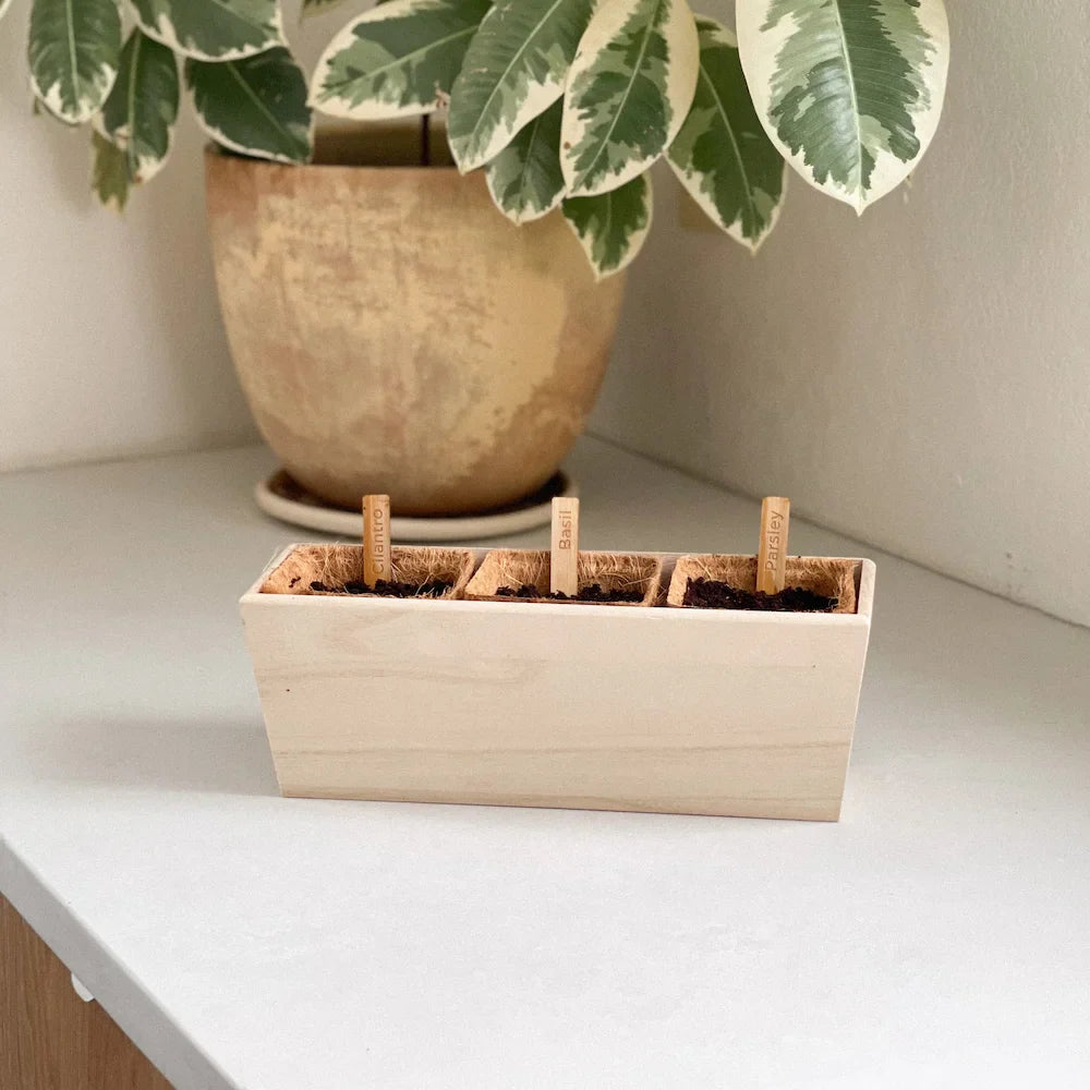 Indoor Herb Planter - Osadia Concept Store