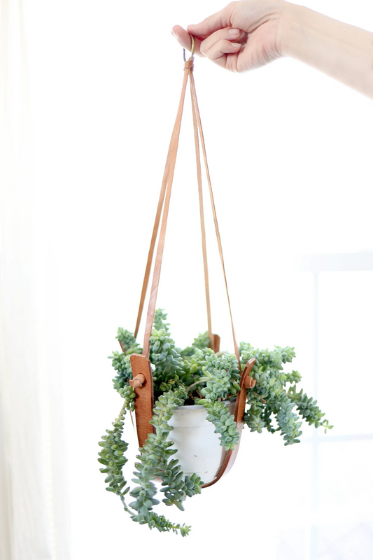 Small Flourish Plant Hanger