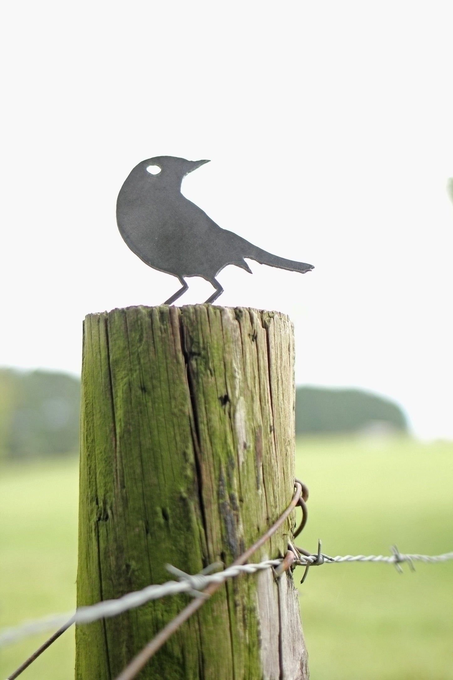 Metal Bird Statue - Sparrow Decor