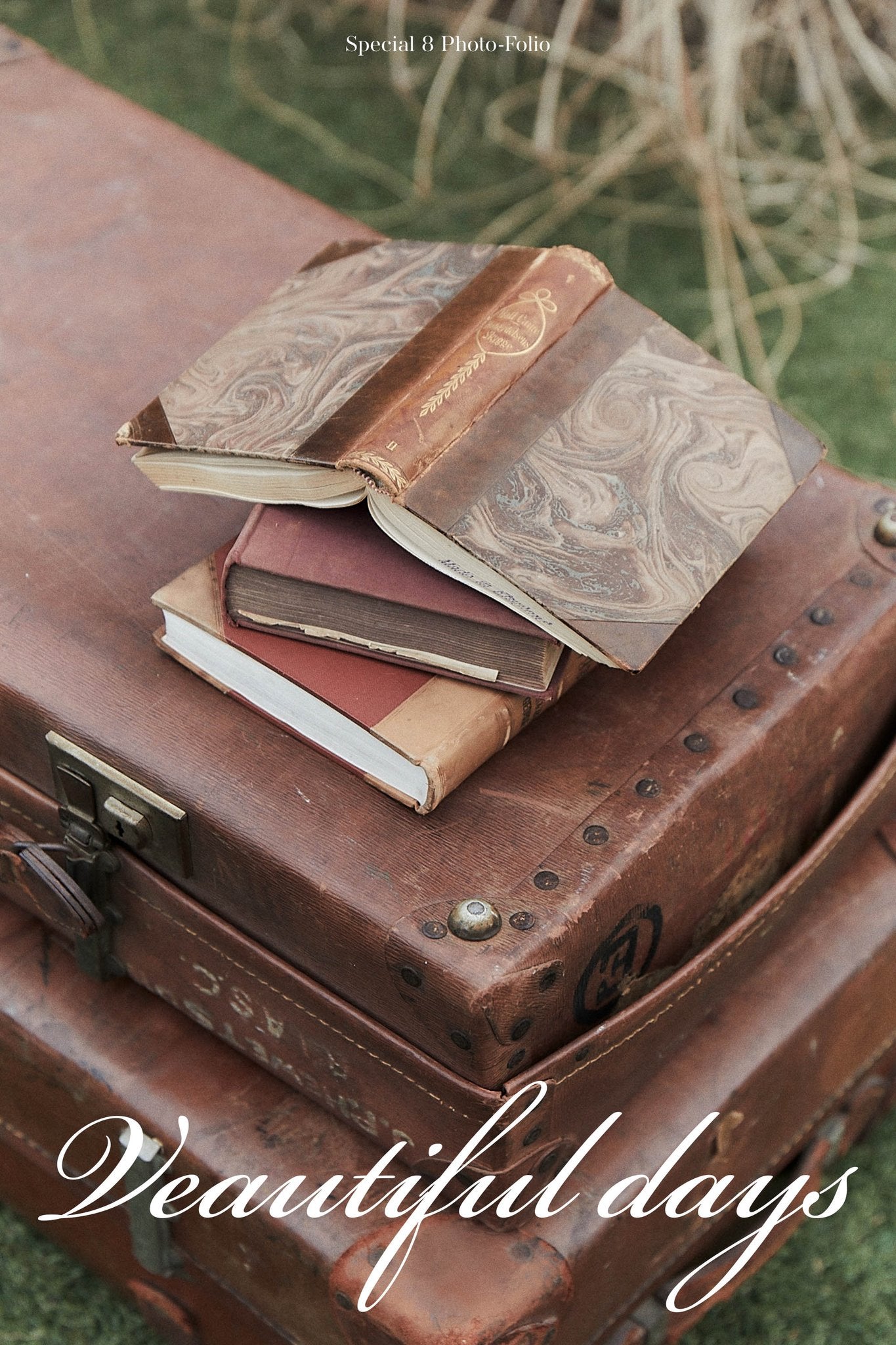 BTS V - Special 8 Photo-Folio Me, Myself, And V "Veautiful Days"