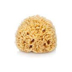 The Sponge Company Sea Silk Bathing Sponge #1 BABY