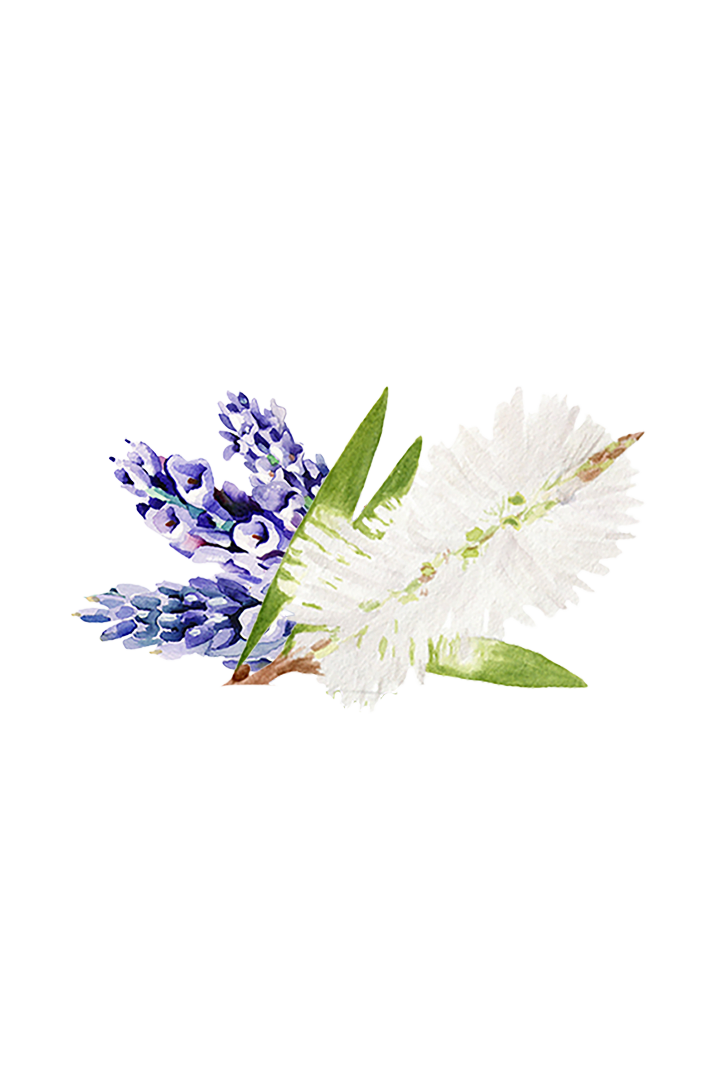 Moisturizing Body Wash | Lavender & Tea Tree - Osadia Concept Store