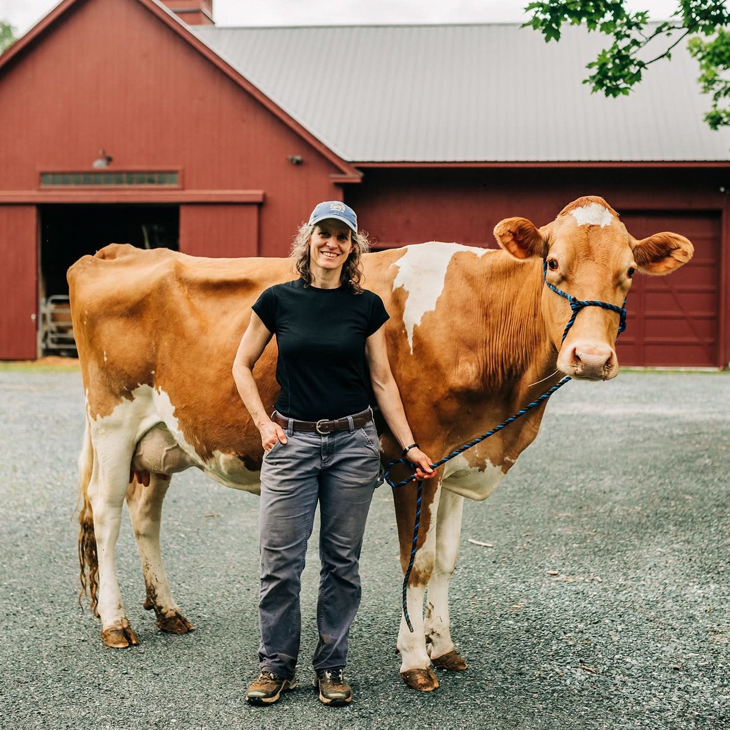 Lightweight Women's T-Shirt Crew Top - 100% Merino Wool - Osadia Concept Store