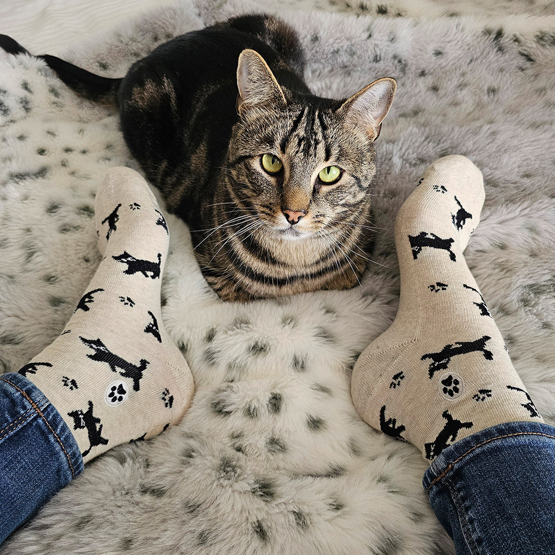 Socks that Save Cats - Osadia Concept Store