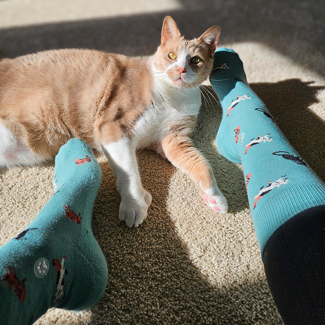 Socks that Save Cats - Osadia Concept Store
