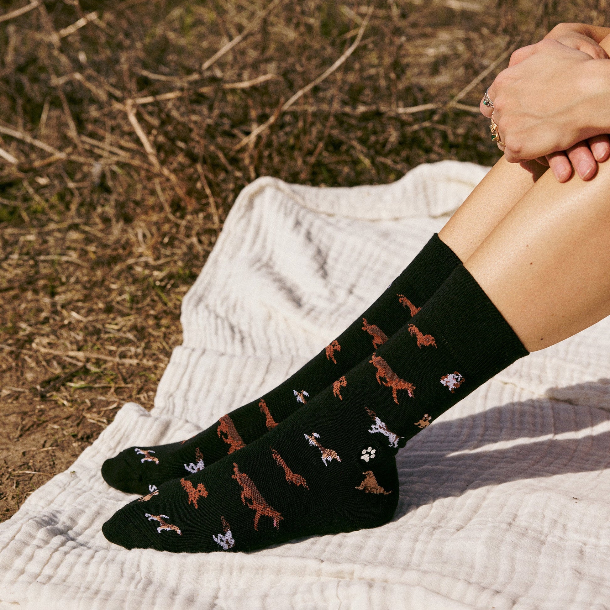 Socks that Save Dogs - Osadia Concept Store