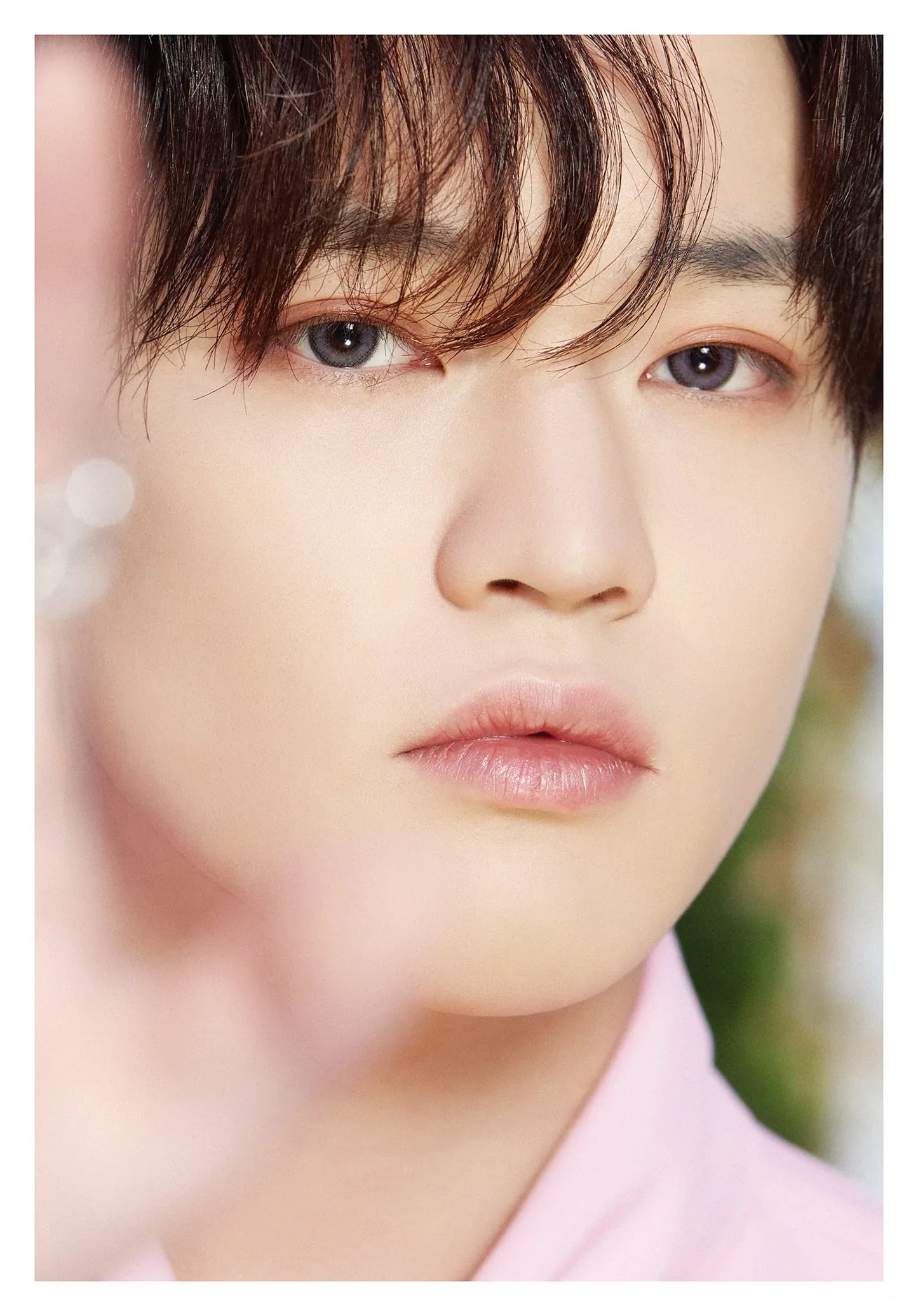 NCT Dream x Dicon Dâ€™Festa (D Festa): Dispatch 10th Anniversary Photobook