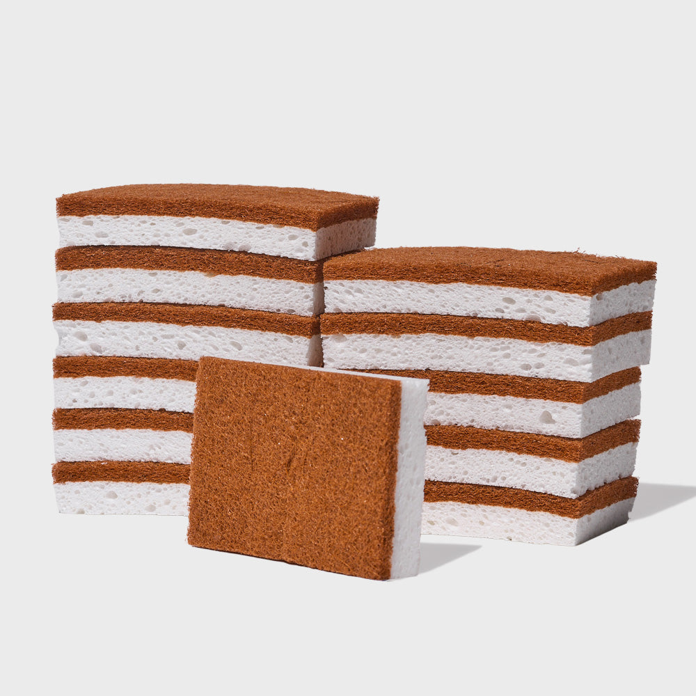 Scrubber Sponges (12 ct) - Osadia Concept Store