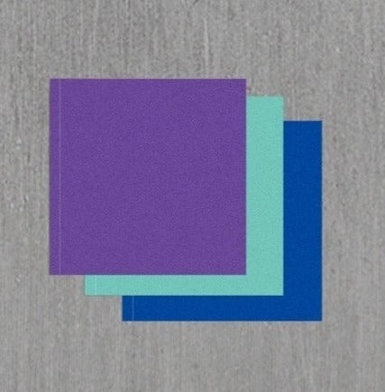 Onf 6th Mini Album - Goosebumps