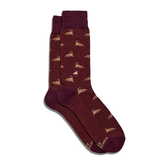 Socks that Protect Walruses