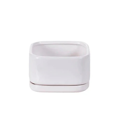 White Ceramic Planter