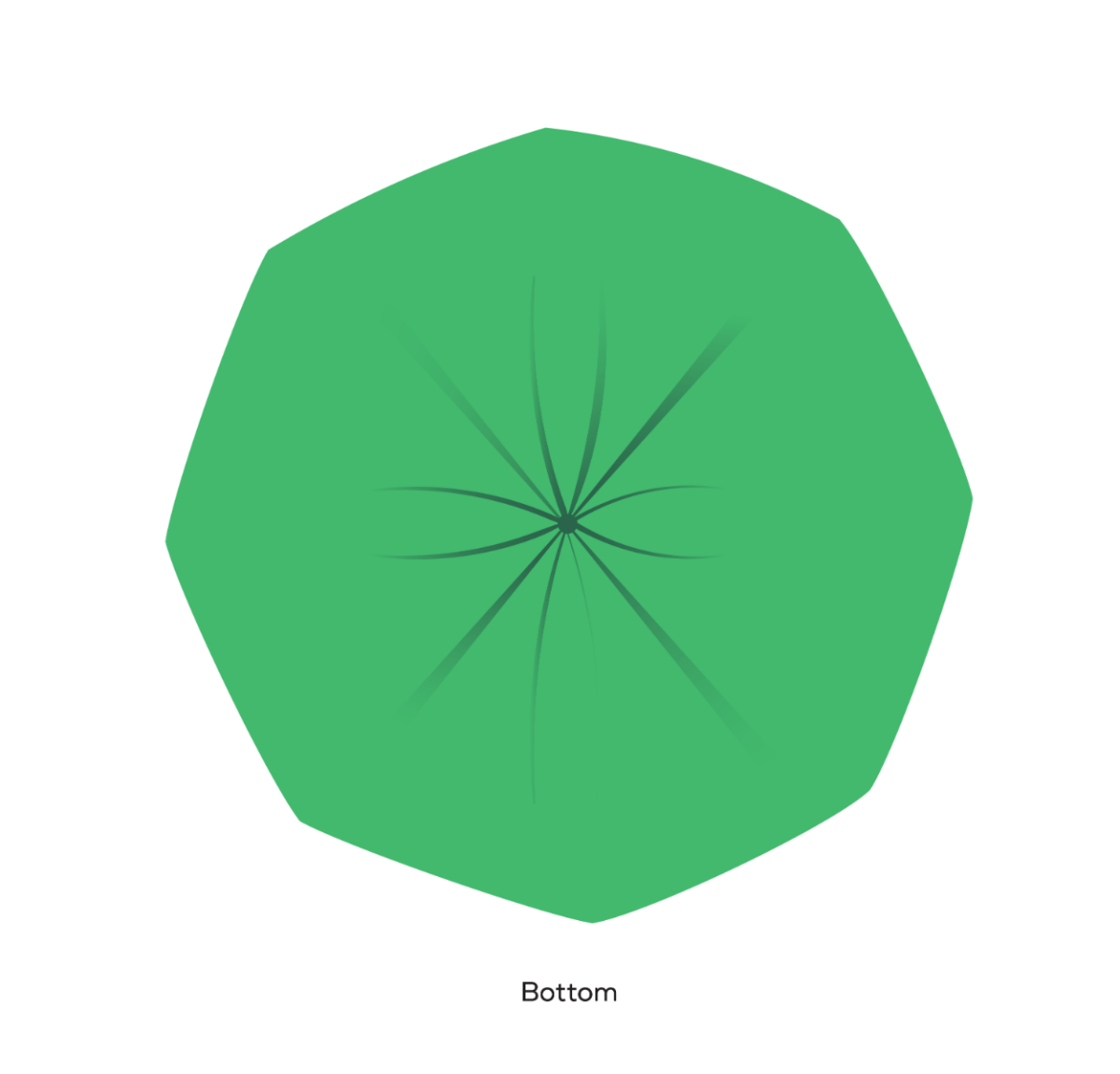 BioBag 33 Gallon Compostable Bags 29.5x46" (QTY 120), SKU 33G3046